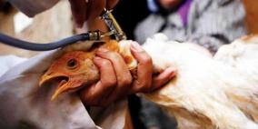 انتشار إنفلونزا الطيور في "اسرائيل"