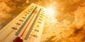 أجواء حارة وجافة وتحذيرات من التعرض لأشعة الشمس