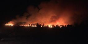 النيران تلتهم عشرات الأشجار في حرائق بمحافظة جنين