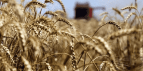 الأمم المتحدة تسعى لتمديد اتفاقية تصدير الحبوب من أوكرانيا لمدة عام