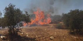 حريق يلتهم مئات الأشجار غرب جنين 