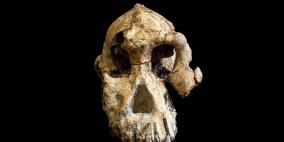 اكتشاف جمجمة عمرها 3.8 مليون عاما في إثيوبيا