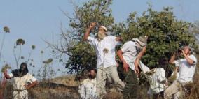 اخلاء مدرسة القرية.. مستوطنون يقطعون عشرات اشجار الزيتون في بورين