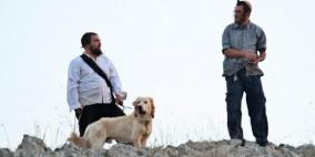 مستوطن يستولي على مغارة جنوب غرب بيت لحم