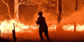 ارتفاع حصيلة قتلى حرائق الغابات في أستراليا
