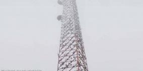 أعداد كبيرة من النسور ترقد على برج اتصالات أمريكي 