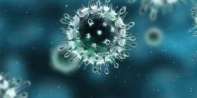فيروس كورونا الجديد في 6 معلومات