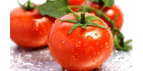 إلى المصابين بهذه الأمراض: ممنوع تناول الطماطم
