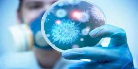علماء يتوصلون لدليل قوي على منشأ فيروس كورونا 