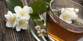 شاي الياسمين ما بين الفوائد والأضرار