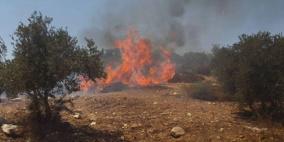 مستوطنون يحرقون أراضي زراعية في الساوية