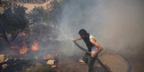 مستوطنون يحرقون مساحات زراعية واسعة جنوب نابلس