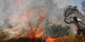 نابلس: مستوطنون يضرمون النار بحقول زراعية 