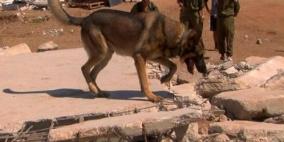 إصابة 3 جنود إسرائيليين بداء الكلب