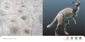 باحث من جامعة القدس يكتشف آثار لأقدام ديناصورات عاشبة سكنت فلسطين