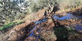 مستوطنون يغرقون اراضي المواطنين شرق نابلس بالمياه العادمة