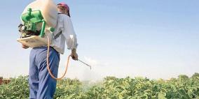 الزراعة تنفي ادعاءات حول متبقيات المبيدات الحشرية في بعض المنتجات الزراعية