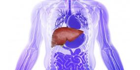 ما هو الفرق بين تشمع الكبد وتليف الكبد؟