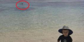 صورة.. طفل يلهو على الشاطئ ووالده بين فكي قرش