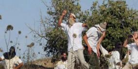 إصابات بالاختناق وإحراق أشجار في هجوم للمستوطنين على بلدة صوريف