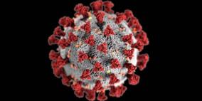 الكشف عن سر التحور السريع في فيروس كورونا