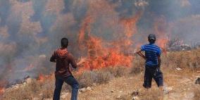 مستوطنون يضرمون النار في الأراضي الزراعية جنوب نابلس 