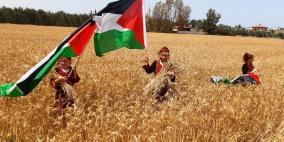 بالصور.. الزراعة في غزة تفتتح موسم حصاد القمح