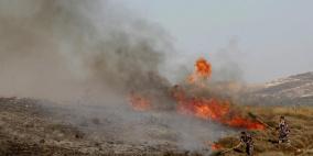 مستوطنون يحرقون محاصيل زراعية وكهفا في مسافر يطا