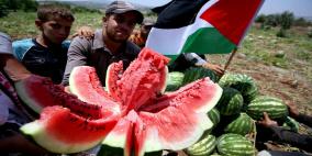 الزراعة تؤكد مواصلة منع استيراد البطيخ حماية للمنتج المحلي