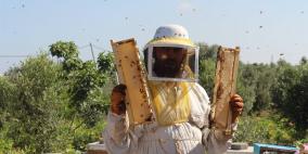 موسم جني العسل في غزة بعد العدوان الإسرائيلي