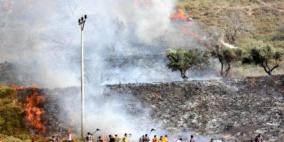 مستوطنون يضرمون النار بأشجار زيتون في نعلين