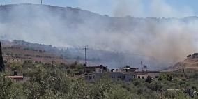مستوطنون يحرقون عشرات الدونمات الزراعية جنوب نابلس