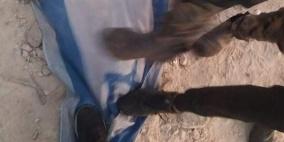 بالفيديو: شبان يقتحمون بؤرة "افيتار" ويحرقون علم إسرائيل
