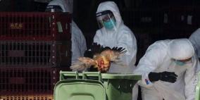 الصين تعلن تسجيل إصابة بشرية بإنفلونزا الطيور