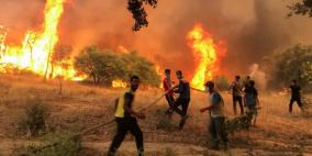 ارتفاع عدد ضحايا الحرائق في الجزائر إلى 69