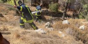 شاهد: الدفاع المدني الفلسطيني يشارك بإطفاء الحرائق في جبال القدس 