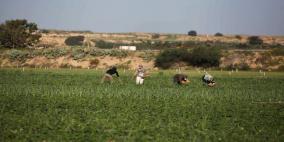 إصابة مزارع برصاص الاحتلال شرق مدينة غزة