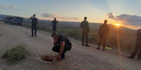 تقارير إسرائيلية: مطاردة أسرى جلبوع وصلت لطريق مسدود