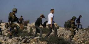 صورة: جنود الاحتلال "يتطوعون" بقطف العنب في مستوطنة