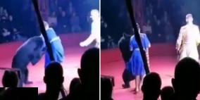 فيديو: دب يهاجم امرأة حامل أثناء عرض في السيرك
