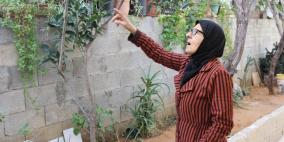الاحتلال يؤجل النظر في إخلاء عائلة سالم من منزلها في الشيخ جراح