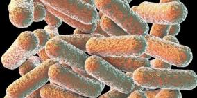 الباحثون يحذرون من هجوم محتمل لبكتيريا خارقة!