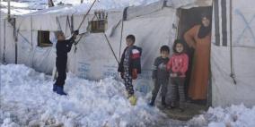 جمع أكثر من 10 ملايين شيقل في الداخل لإغاثة اللاجئين السوريين
