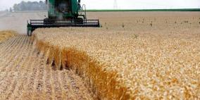 روسيا تستأنف تصدير القمح من موانئها عبر البحر الأسود
