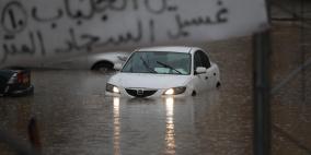 كم بلغت كمية الامطار التي هطلت على فلسطين حتى الآن؟