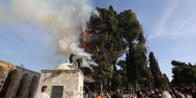 شاهد: اندلاع حريق في أحد أشجار "الأقصى" بسبب اعتداءات الاحتلال