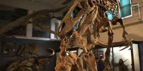 أسرار جديدة عن حياة ديناصور عاش قبل 70 مليون سنة