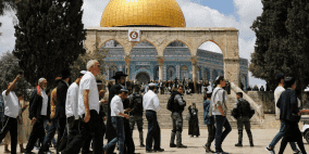 حمـاس تصدر بيانا حول فعاليات يوم الأحد القادم في القدس