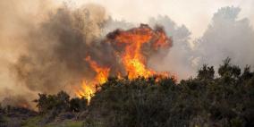 بالفيديو مستوطنون يحرقون أراضي زراعية ويهاجمون منازل جنوب نابلس 
