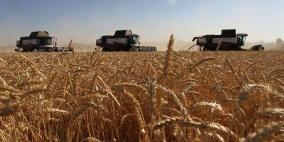 إسرائيل تسعى لاستيراد القمح من كازاخستان